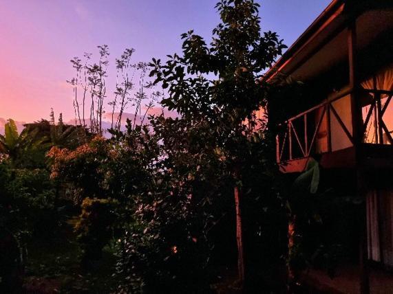 Hotel Marari Rapa Nui Hanga Roa Exterior foto