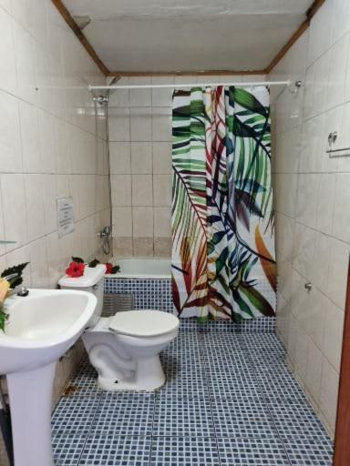Hotel Marari Rapa Nui Hanga Roa Exterior foto